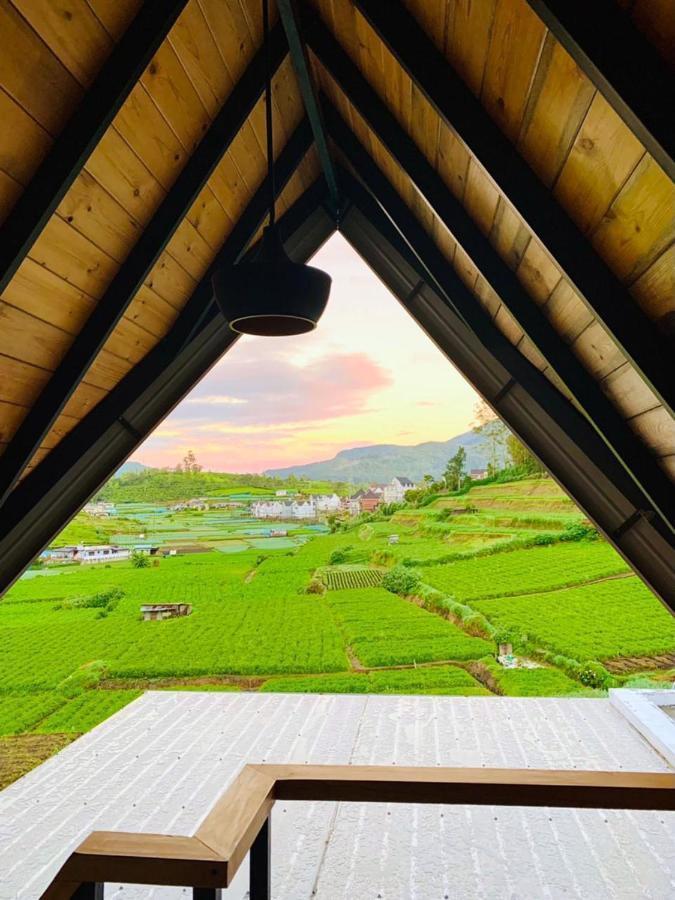 Dream Cottage 努沃勒埃利耶 外观 照片